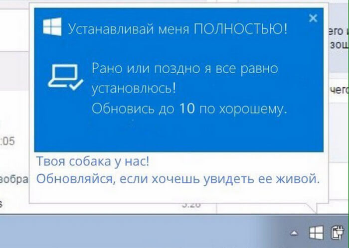 Очередное обновление Windows парализовало Интернет