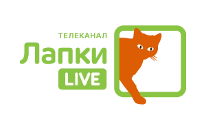 Логотип канала Лапки LIVE